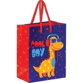 Пакет подарочный 11*14*6,5 см " Cool Boy" ламин  YCs_33092