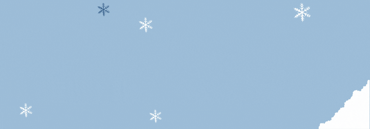 зимние тоовары 2025