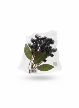 Фрукты искусст. черника мод YLY-007 (ВИ)