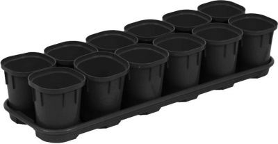 Набор горшков для выращивания рассады InGreen Smart Solution с поддоном 12х200 мл оникс (Репаблик РФ)