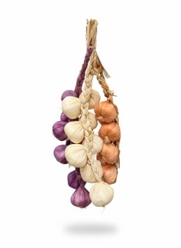 Овощи искусст. чеснок мод YLY-012 (ВИ)