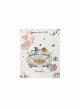 Пакет подарочный бумажн. мод 108M (ВИ)