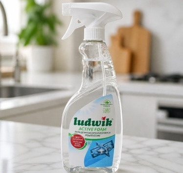 LUDWIK  Средство для мытья замасленных поверхностей active foam FRESH 600 мл